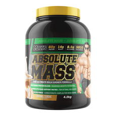 ABSOLUTE MASS by MAX'S